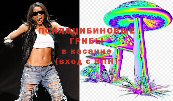 круглые Алексеевка