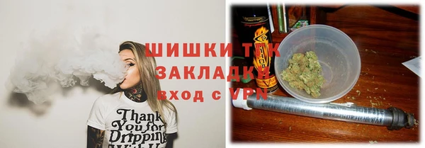ГАЛЛЮЦИНОГЕННЫЕ ГРИБЫ Абаза