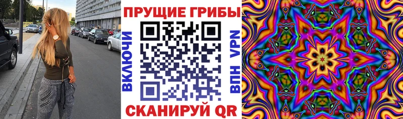 Псилоцибиновые грибы Psilocybine cubensis  купить наркотики сайты  Новоаннинский 