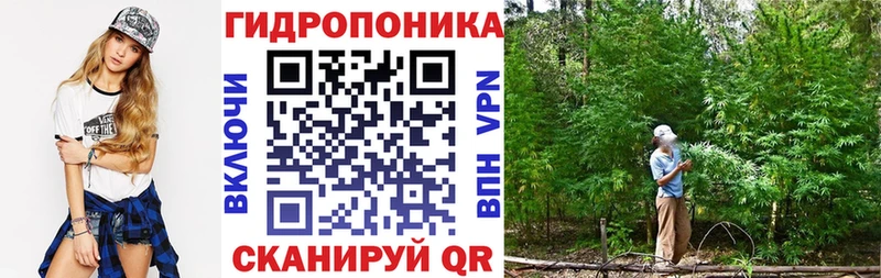 Бошки Шишки индика  Новоаннинский 